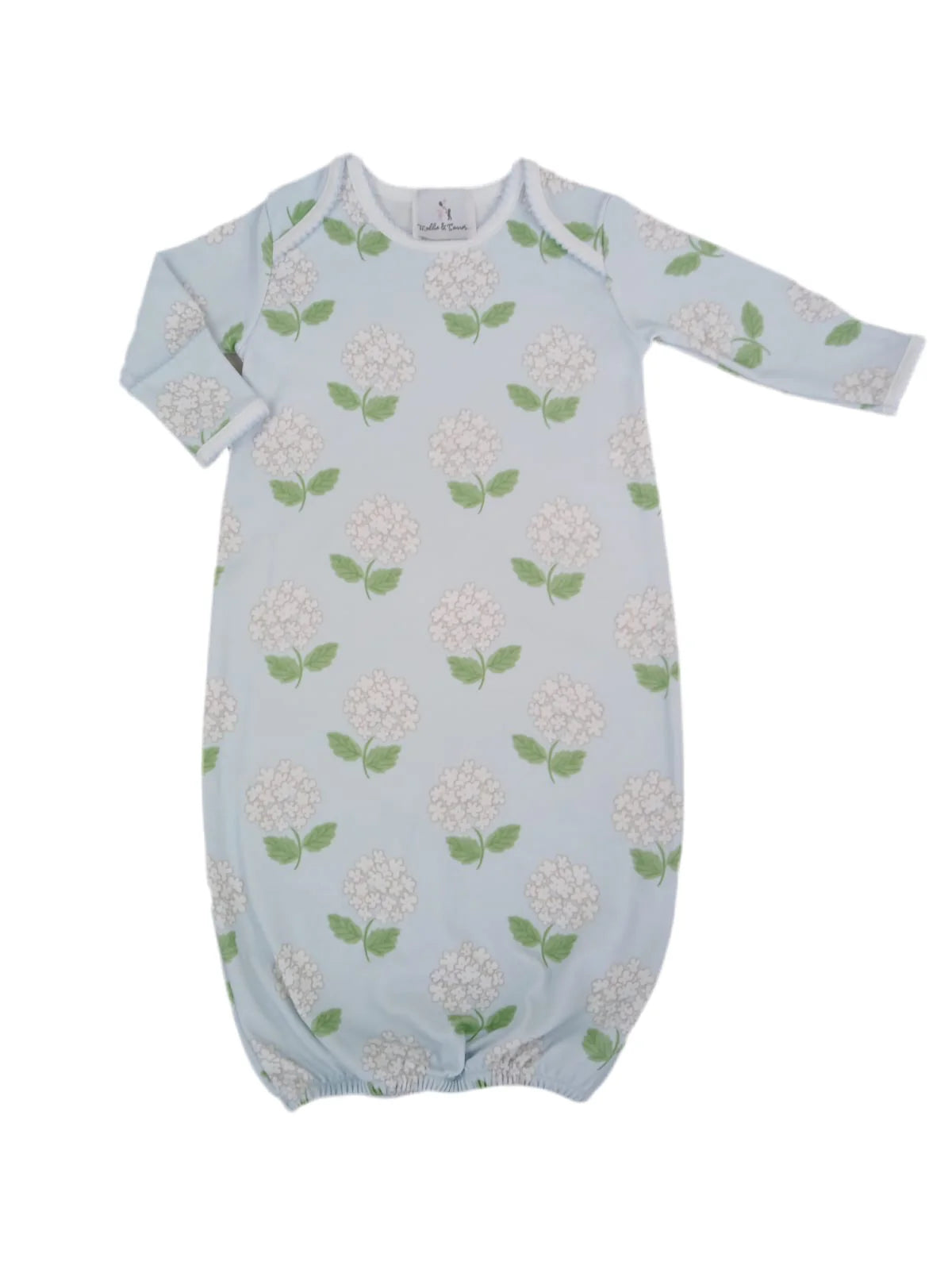 Hydrangea pima Lafayette set