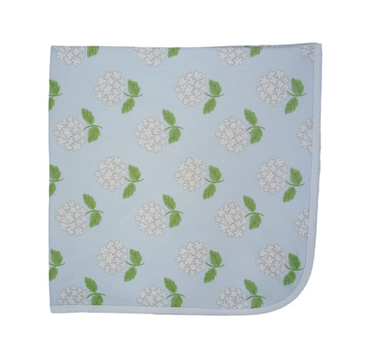 Hydrangea pima Lafayette set