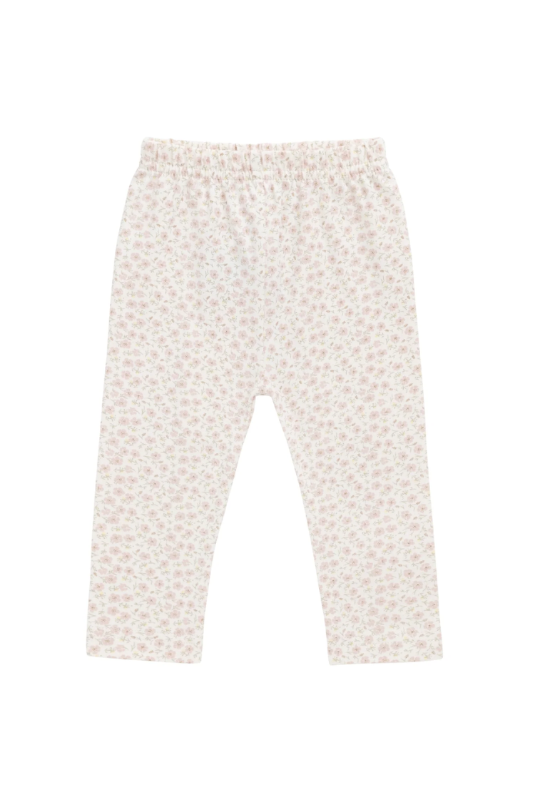 Everyday Legging | Penelope Rose - Jamie Kay