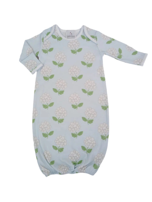 Hydrangea pima Lafayette set