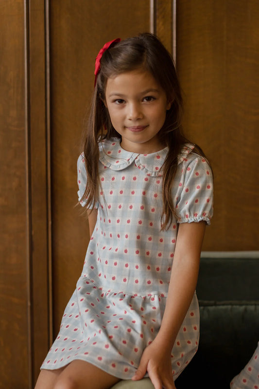 Lily Dress- Apples- Little Paper Kids