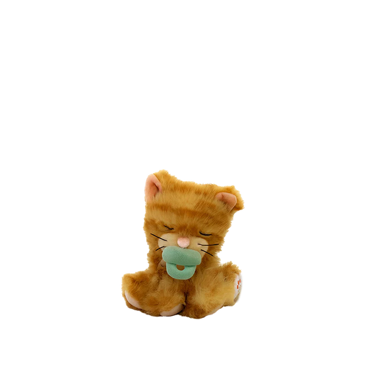 Binky Kitten Koda- Ginger